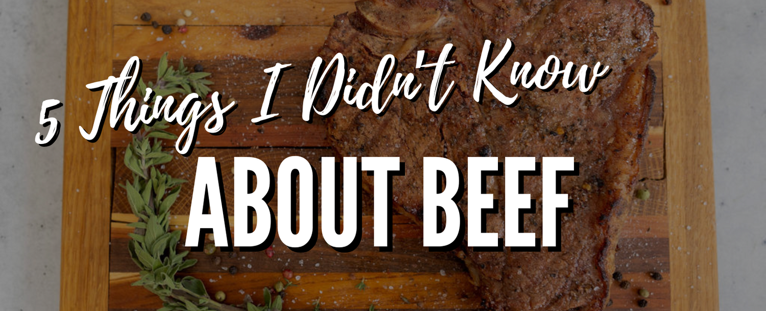 5 Things I Didn’t Know About Beef Until I Worked at Oak Barn Beef - Guest Blog by Julie