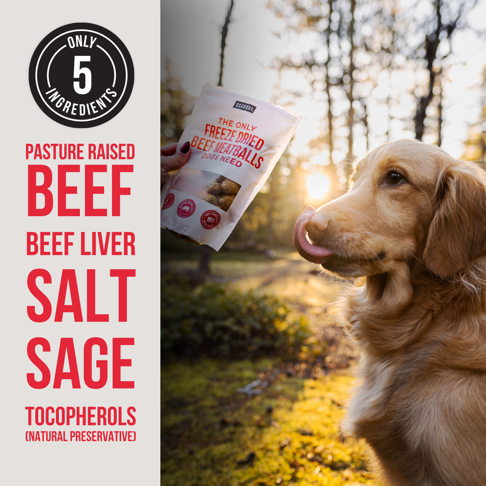 Farm Pup Box - Beefy Dog Treats