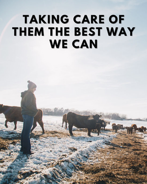 Cattle rancher
