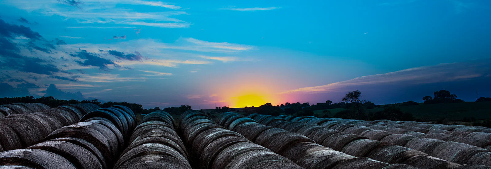 Welcome to the Oak Barn Beef family, oakbarnbeef.com