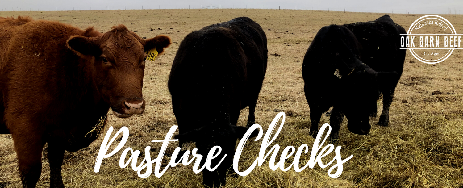Pasture Check with Dad #1