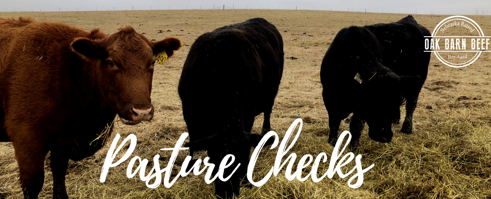 Pasture Check with Dad #1