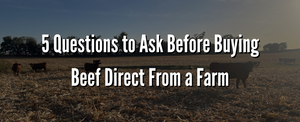 5 Questions to Ask Before Buying Beef Direct From a Farm