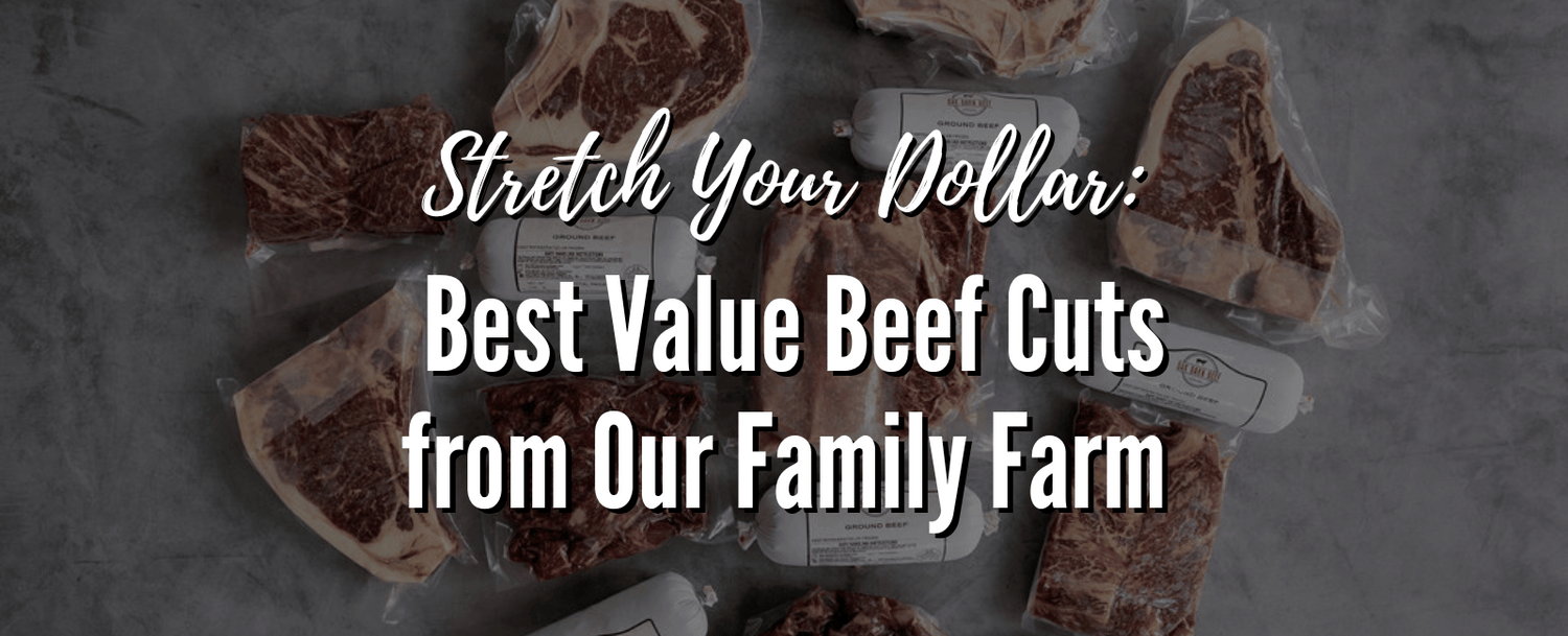 “Vacuum-sealed packages of dry-aged beef cuts from Oak Barn Beef arranged on a gray surface with text overlay: Stretch Your Dollar – Best Value Beef Cuts from Our Family Farm.”