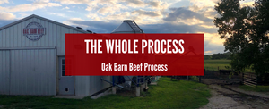 The Whole Process of Oak Barn Beef