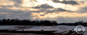 What's winter look like on the farm?