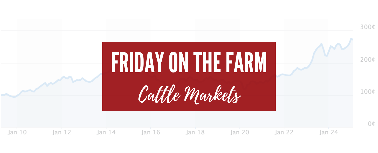Friday On The Farm - Let's Talk Cattle Markets