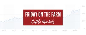 Friday On The Farm - Let's Talk Cattle Markets