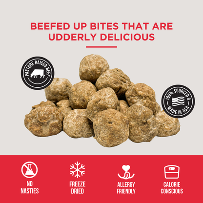 Farm Pup Box - Beefy Dog Treats