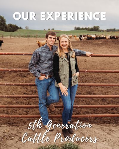 Hannah and Eric's experiences at Oakbarnbeef.com