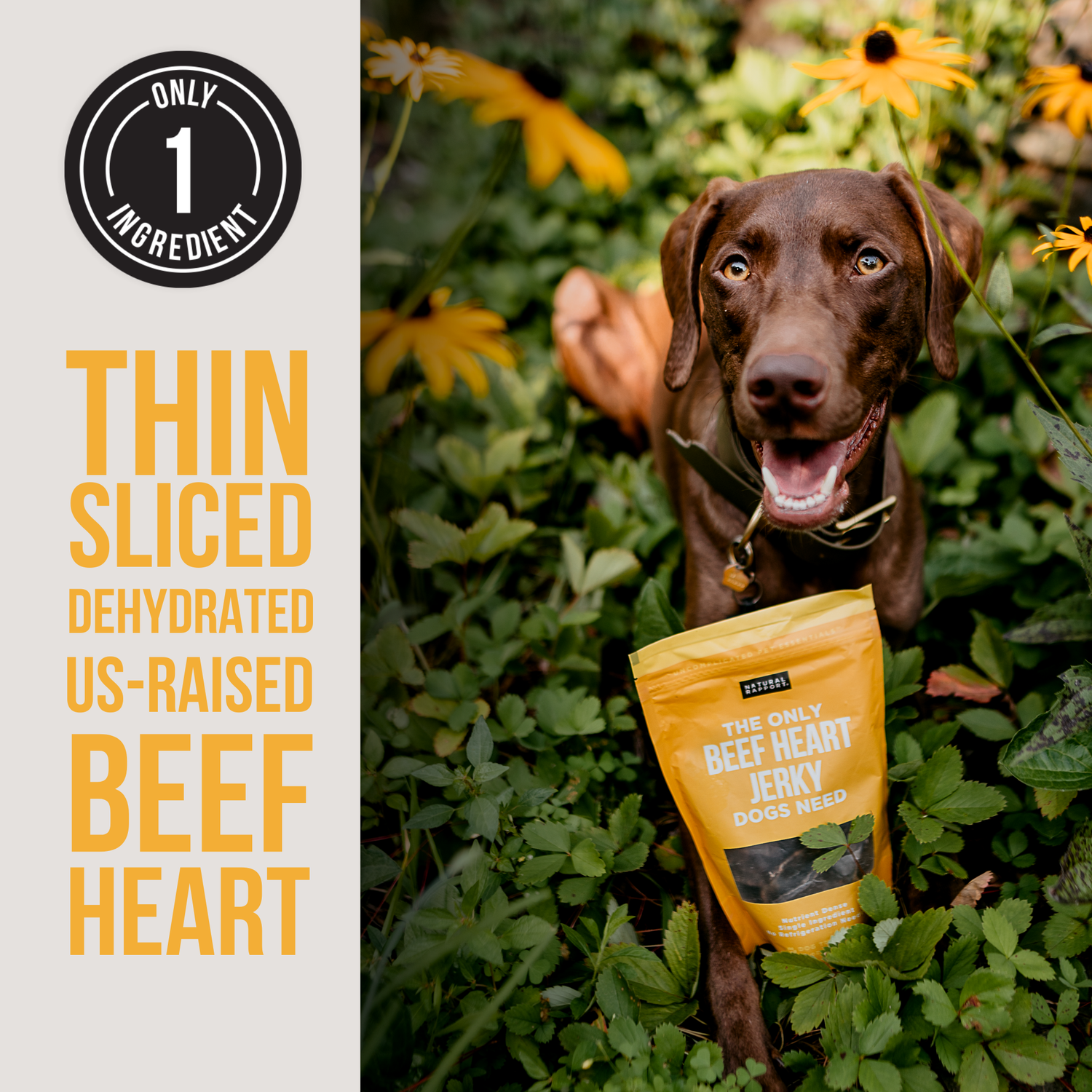 Beef Heart &amp; Liver Treats for Dogs