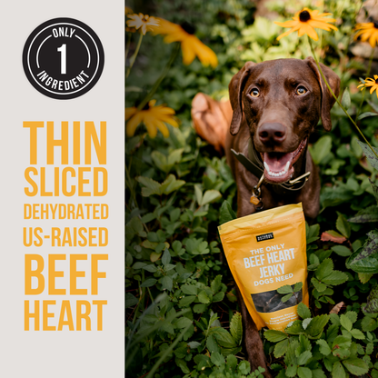 Beef Heart &amp; Liver Treats for Dogs