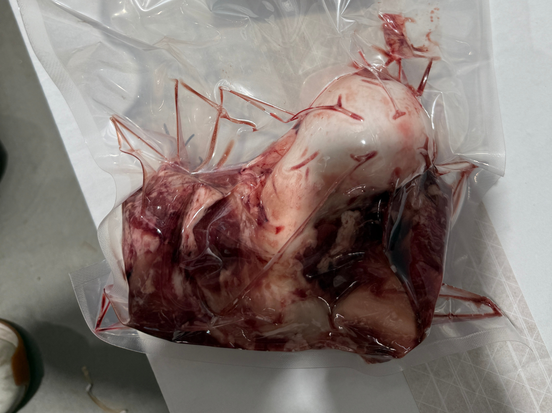 Knuckle Bones