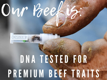 Oak Barn Beef is DNA tested, oakbarnbeef.com