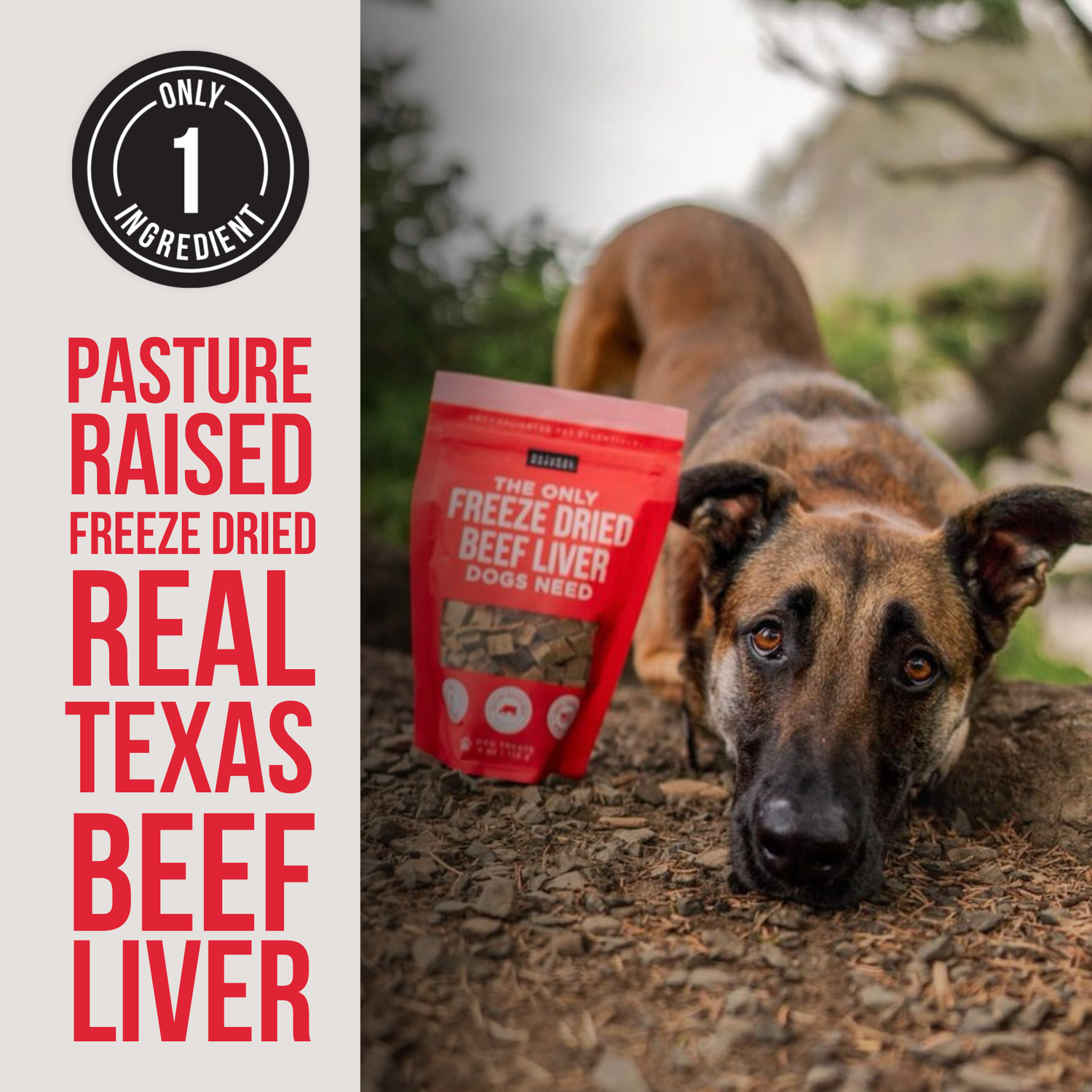 Beef Heart &amp; Liver Treats for Dogs