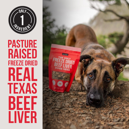 Beef Heart &amp; Liver Treats for Dogs